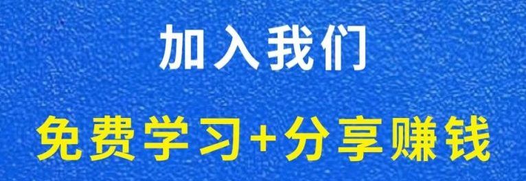 白菜价解锁20000+N个赚钱机会，加入轻创终点站会员，全站资源免费学习。-新手源码资源站官网