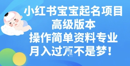 小红书宝宝起名项目高级版本,操作简单,资料专业,月入过W-新手源码资源站官网