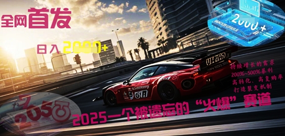 全网首发:2025一个被遗忘的“火爆”赛道轻松日入多张-新手源码资源站官网