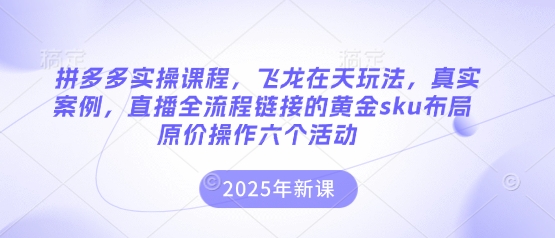 拼多多实操课程,飞龙在天玩法,真实案例,直播全流程链接的黄金sku布局原价操作六个活动-新手源码资源站官网