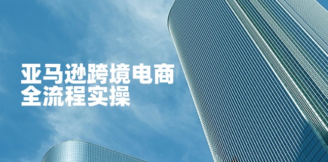 （14252期）亚马逊跨境电商全流程实操，教你从零开始，掌握店铺运营与广告技巧-新手源码资源站官网