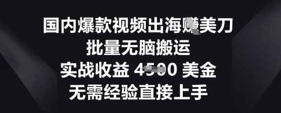 国内爆款视频出海挣美刀,批量无脑搬运,实战收益4.5k,无需经验直接上手-新手源码资源站官网