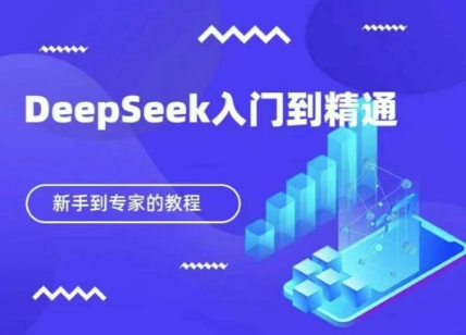 DeepSeek快速从入门到精通,新手的保姆级教程-新手源码资源站官网