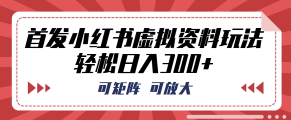 首发小红书虚拟资料玩法，可矩阵，可放大，轻松日入3张-新手源码资源站官网