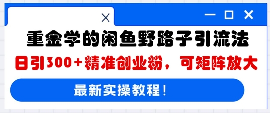 重金学的闲鱼野路子引流法，日引300+精准创业粉，可矩阵放大-新手源码资源站官网