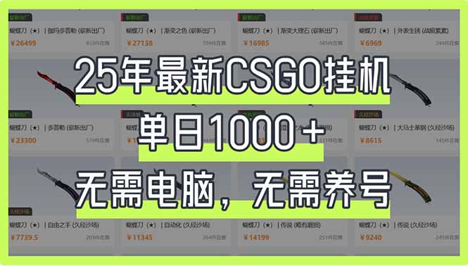 （14178期）25年最新CSGO挂机系统，单日1000+，无需电脑，无需养号，0基础可上手-新手源码资源站官网