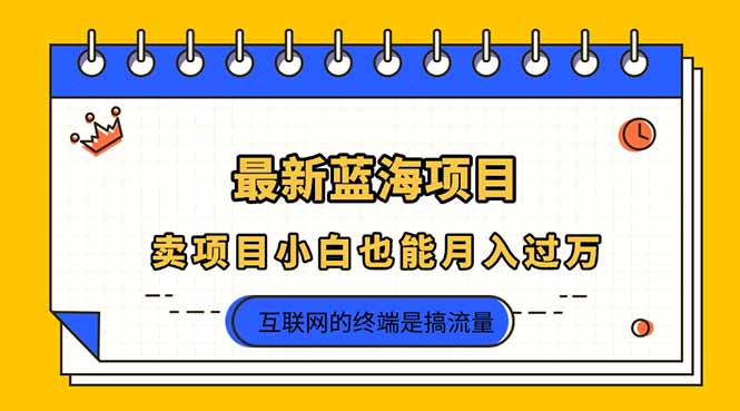 （14289期）2025年最新蓝海项目，卖项目小白也能月入过万-新手源码资源站官网