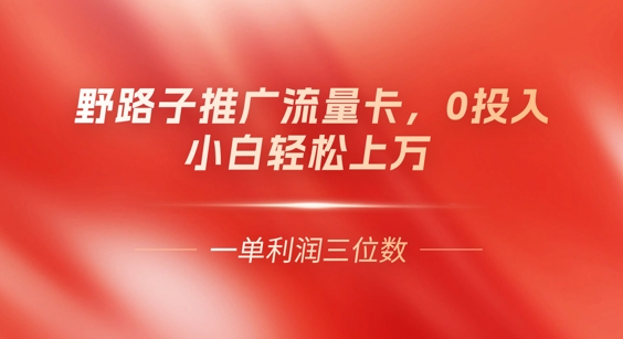 0门槛推广流量卡，一单收益上百，0投入，小白月入过W-新手源码资源站官网