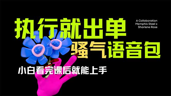 （14170期）爆火全网的开车导航骚气语音包,只要执行就出单，小白看完课程就能实操...-新手源码资源站官网