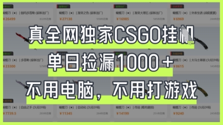 真全网独家CSGO挂G，单日捡漏1k+【揭秘】-新手源码资源站官网