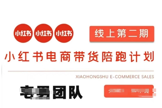 小红书电商带货课2期，月利润20个的小红书电商的有货源，无货源，虚拟产品，付费投流等整套玩法-新手源码资源站官网