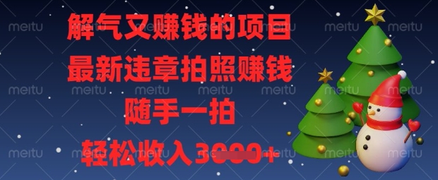 解气又挣钱的项目，最新违章拍照挣钱，随手一拍，轻松收入数张【揭秘】-新手源码资源站官网